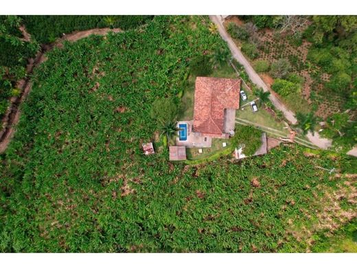 Rustico o casale a Palestina, Departamento de Caldas