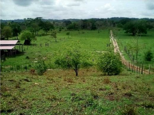 Rustico o casale a Canalete, Departamento de Córdoba