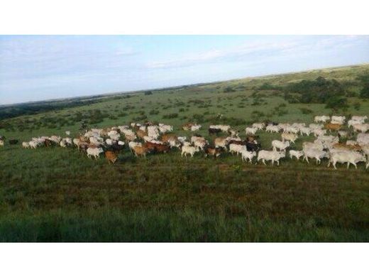 ﻣﻨﺰﻝ ﺭﻳﻔﻲ/ ﺑﻴﺖ ﻤﺰﺭﻋﺔ ﻓﻲ Puerto López, Departamento del Meta