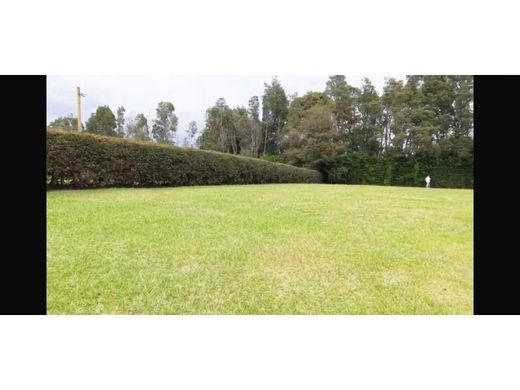 ‏קרקע ב  Rionegro, Departamento de Antioquia