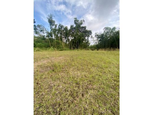 Terrain à Pereira, Departamento de Risaralda