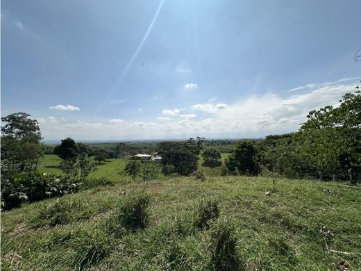Land in Montenegro, Quindío Department