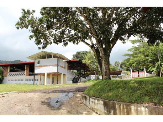 Ibagué villas y casas de lujo en venta Propiedades