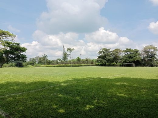 Grond in La Tebaida, Quindío Department