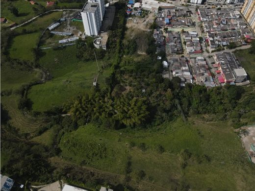 Arsa Armenia, Quindío Department