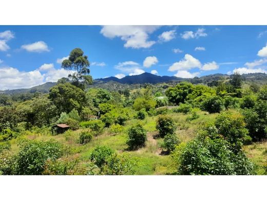 Teren w Rionegro, Departamento de Antioquia