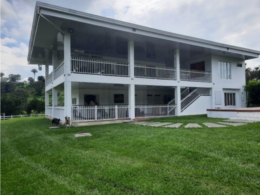 Ferme à La Tebaida, Quindío Department