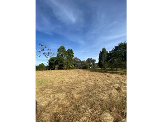 Arsa Envigado, Departamento de Antioquia