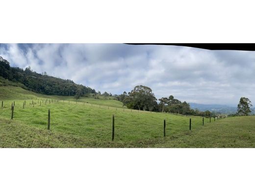 Terreno a La Ceja, Departamento de Antioquia