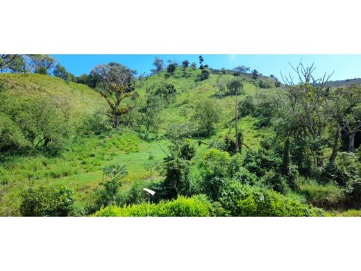 ‏בתים כפריים או חוות ב  Manizales, Departamento de Caldas