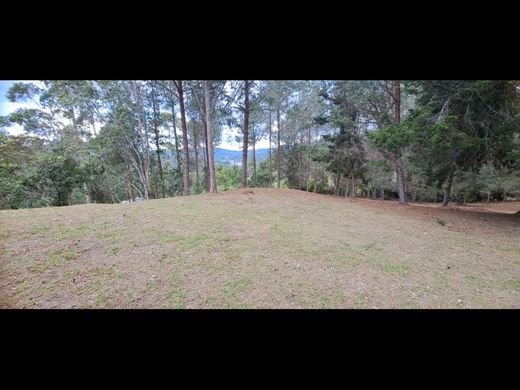 地皮  Retiro, Departamento de Antioquia