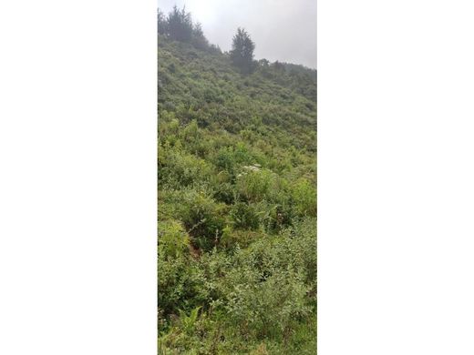 Участок, Кальдас, Caldas