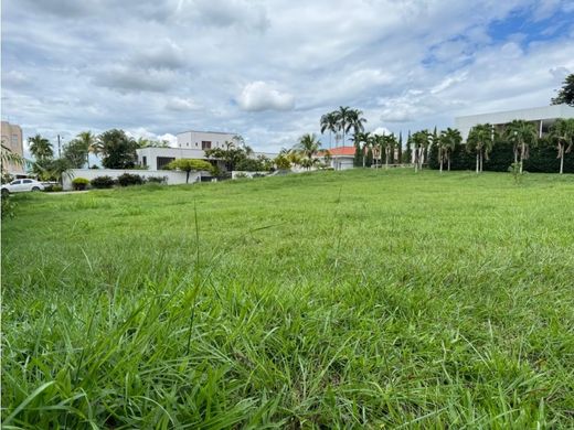 地皮  卡利, Cali