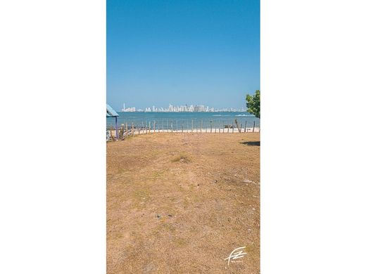 Arsa Cartagena, Cartagena de Indias