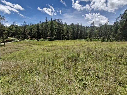 أرض ﻓﻲ Retiro, Departamento de Antioquia