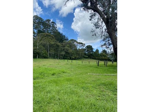 Rustik ya da çiftlik Rionegro, Departamento de Antioquia