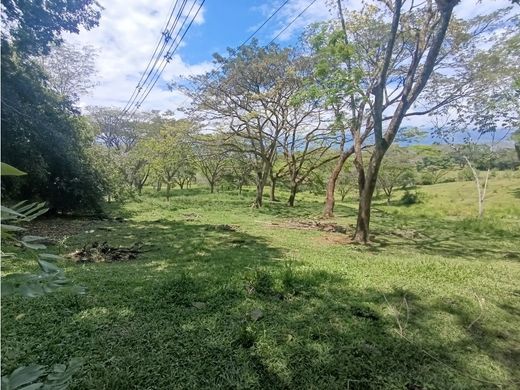 Terreno en La Pintada, Departamento de Antioquia