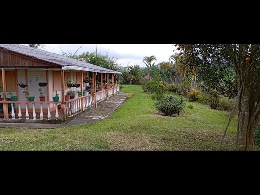 Rustik ya da çiftlik Circasia, Quindío Department