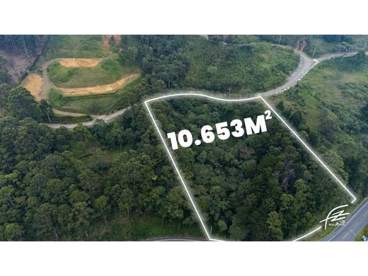 ‏קרקע ב  מדיין
, Medellín