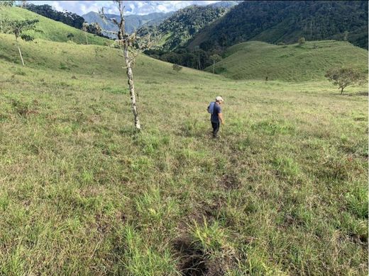Boerderij in Apía, Departamento de Risaralda
