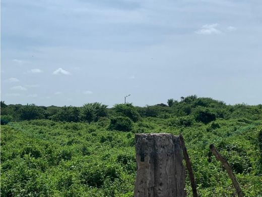 Arsa Soledad, Departamento del Atlántico