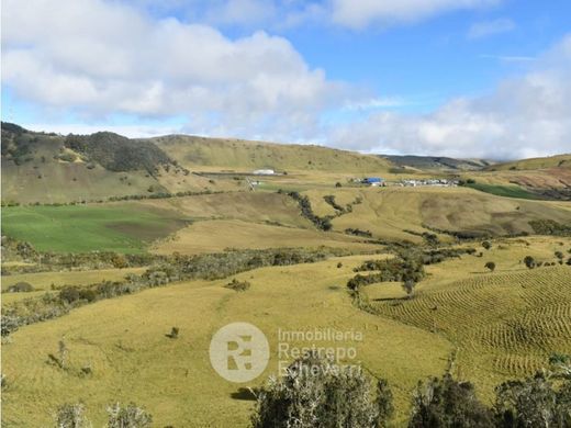 Farmhouse in Herveo, Departamento de Tolima