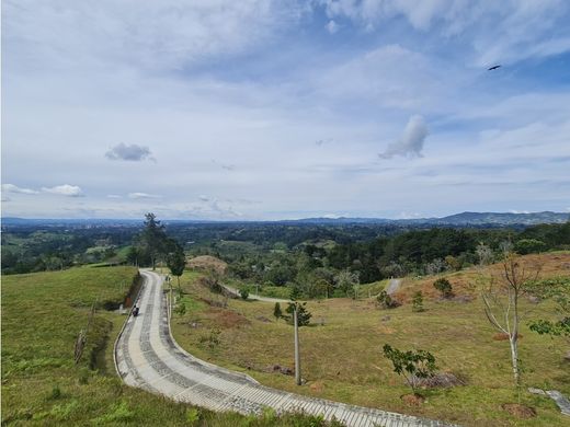 ‏קרקע ב  Rionegro, Departamento de Antioquia