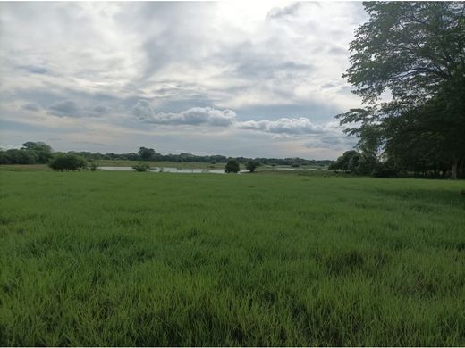 Boerderij in Ayapel, Departamento de Córdoba