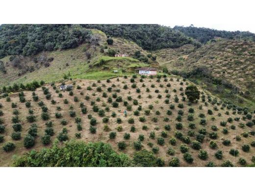 Boerderij in Guatapé, Departamento de Antioquia