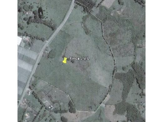 토지 / Carmen de Viboral, El Carmen de Viboral