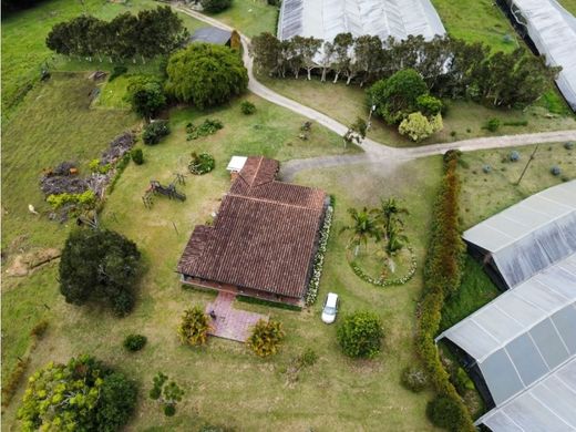 Rustik ya da çiftlik Rionegro, Departamento de Antioquia