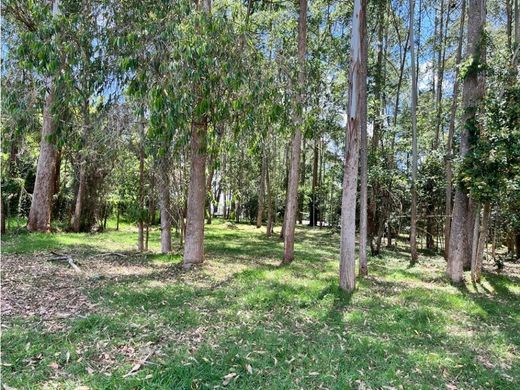 Land in Rionegro, Departamento de Antioquia