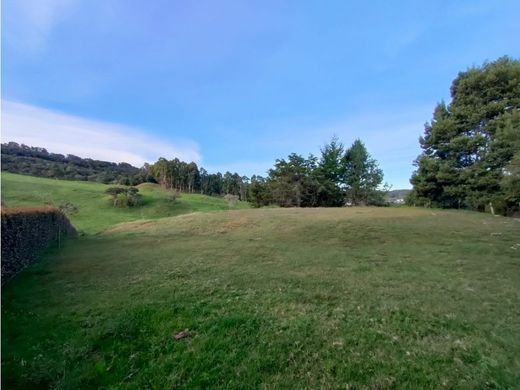 Grond in Envigado, Departamento de Antioquia