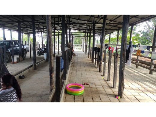 Boerderij in Puerto Parra, Departamento de Santander