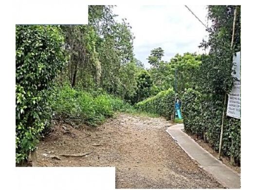 Terrain à Ricaurte, Departamento de Cundinamarca