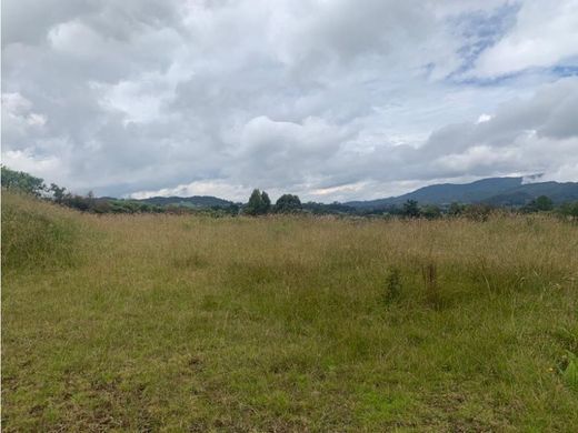 Arsa Envigado, Departamento de Antioquia