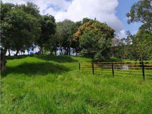 Farmhouse in La Tebaida, Quindío Department