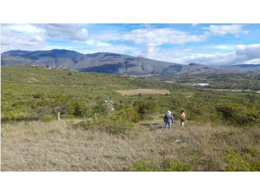 Villa de Leyva, Departamento de Boyacáの土地