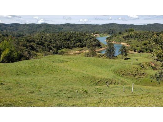 El Peñol, Yarumalのカントリー風またはファームハウス