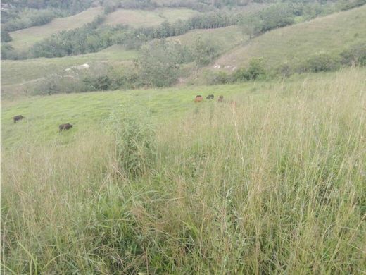 Ferme à Manizales, Departamento de Caldas