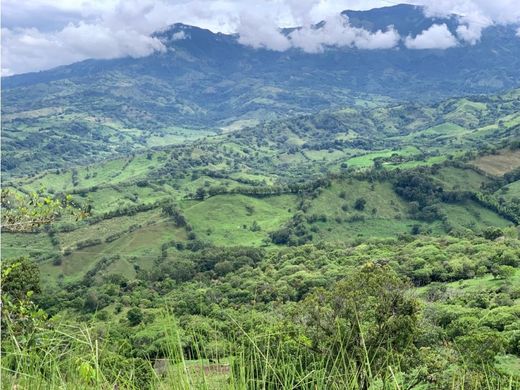 ﻣﻨﺰﻝ ﺭﻳﻔﻲ/ ﺑﻴﺖ ﻤﺰﺭﻋﺔ ﻓﻲ Támesis, Departamento de Antioquia