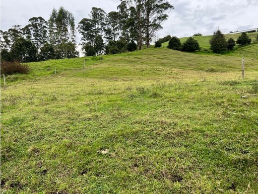 Land in Rionegro, Departamento de Antioquia