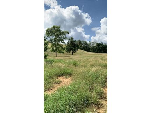 Land in Cartagena, Cartagena de Indias