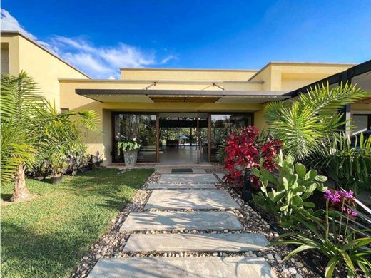 Propriété de campagne à La Tebaida, Quindío Department