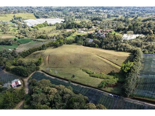 Arsa Rionegro, Departamento de Antioquia