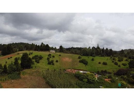 Grundstück in Guarne, Departamento de Antioquia