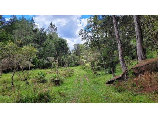 Terreno - Guarne, Departamento de Antioquia