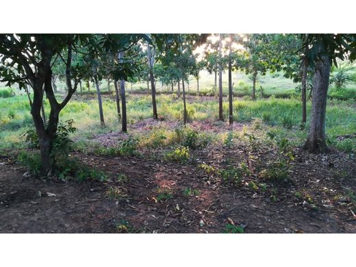 Cortijo o casa de campo en Arjona, Departamento de Bolívar