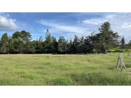 أرض ﻓﻲ Rionegro, Departamento de Antioquia