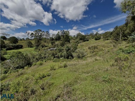 Grundstück in Rionegro, Departamento de Antioquia